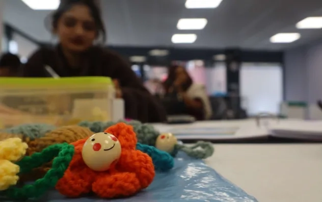 Image shows a knitted figure sitting on the table with a participant on the lead programme blurred out in the background